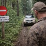 Drogi leśne a prawo – gdzie kończy się dojazd gospodarczy, a zaczyna wykroczenie