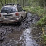 Tereny podmokłe w Polsce – regiony, gdzie łatwo utknąć mimo pozornie łatwej trasy